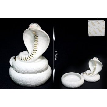 -005  , 