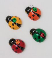 QS-21/5 �������� ������� (��������, ������)