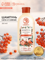 ������ �������� "�������" �� �������, � ���������� ����������, �����������, 5.3 � 7 ��